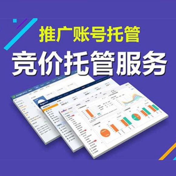 网站开发/SEO/SEM营销推广，百科创建，用数据说话为效果